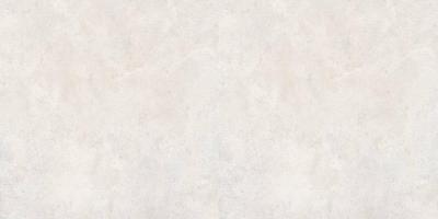 Etherea White Matt 60x120