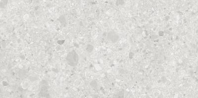 Blanco Sand Coloured Body 60x120