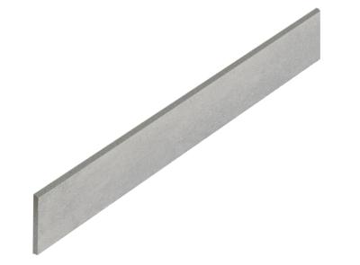 Silver Battiscopa