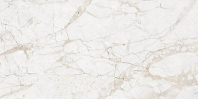 Impero Grey Carving 60x120
