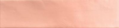 Skin 6.5x26