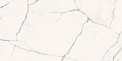 StaVp612Lp 60x120