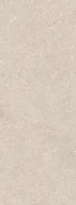 Coral Caliza 45x120