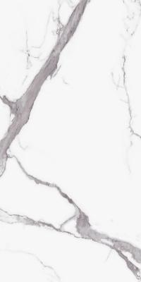 Statuario Cara Polished 80x160 Statuario Cara Polished 80x160