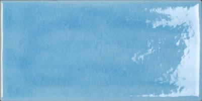 Tonalite Briolette Celestite 10x20