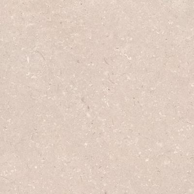 Coral Caliza L 120x120