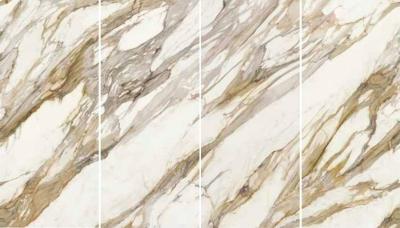 Calacatta Vena Antica Luc Set 4 Pcs