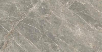 Etoile Gris Matte 60x120