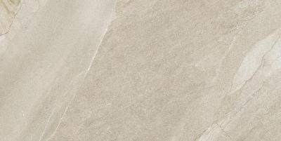 Halley Taupe 60x120