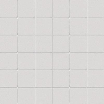 Quarzo Su Rete 10x10 30x30