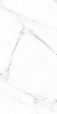 Statuario Venato Rett Lucidato 60x120