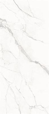 Calacatta Honed 120x278