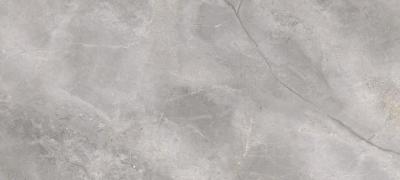 Silver Poler 119.7x279.7