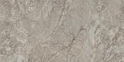 Breccia Braque Naturale 120x240