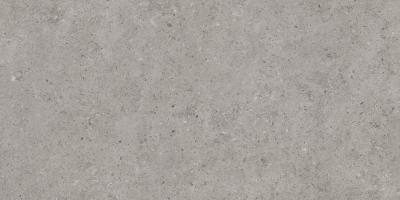 Beren Greige Ductile 60x120