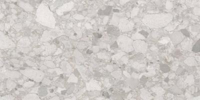 Softceppo Серый 60x120