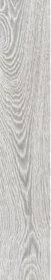 Gris Placket