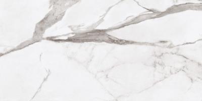 White Statuario Rett 60x120 White Statuario Rett 60x120
