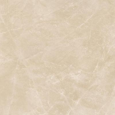 Beige Polished 59.2x59.2