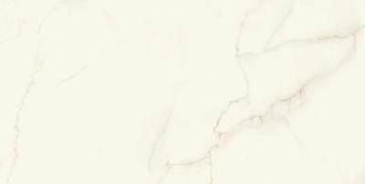 Calacatta Apuano Lappato 120x240