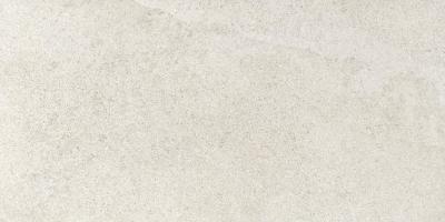 Ergon Stone Project Controfalda White Lappato 30x60