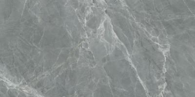 Grey Glossy