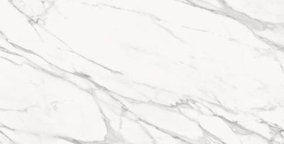 Statuario Michelangelo Base Lappato 120x240