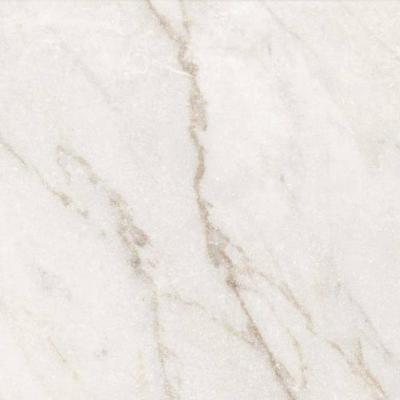 Calacatta Oro 60x60