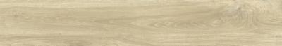 Ash 20x120