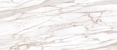 Book Match "B" Calacatta Gold Canova Full Lappato 120x278