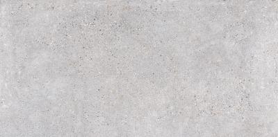 Tikal Gris Mt 59x120