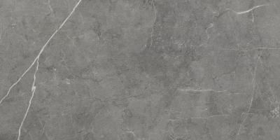 Dark Grey Rect 59.7x119.7