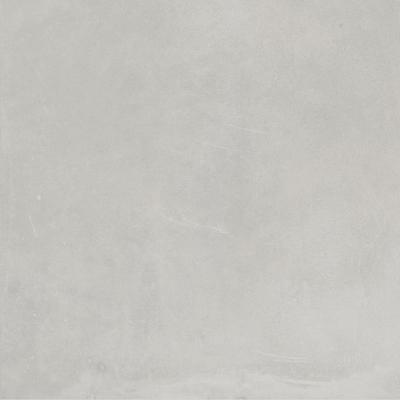 Ergon Architect Resin Berlin Grey Lappato 60x60