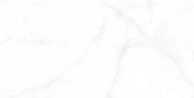 Liola White Glossy 60x120