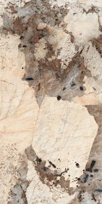 Sunheart Patagonia Bronze 80x160