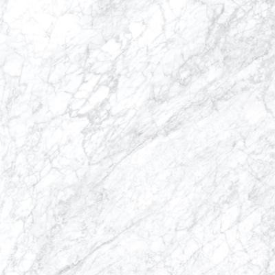 Supreme White Lucidato 80x80
