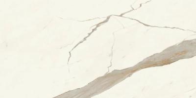 Calacatta Sublime Lappato 60x120