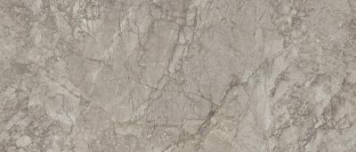 Breccia Braque Full Lappato 120x278