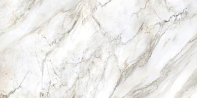 Marmi Di Carara B Glossy