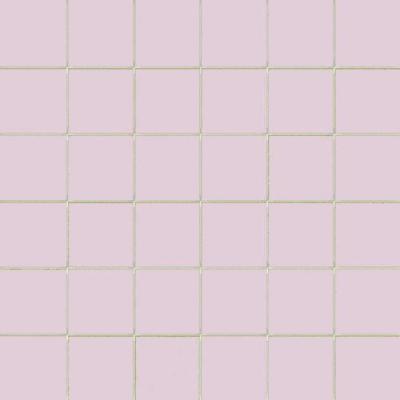 Malva Su Rete 10x10 30x30