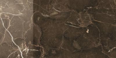 Dark Emperador Rett Lucidato 30x60