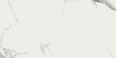 Prestigio Statuario Lucido R 30x60