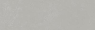 Planet Silver Ap A L R 29x90