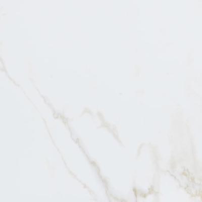 Persia Floor 59.6x59.6