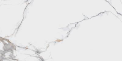 Calacatta Macchia Vecchia Levigato 120x60 полированный