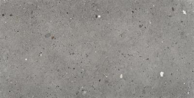 Grigio Scuro 60x120