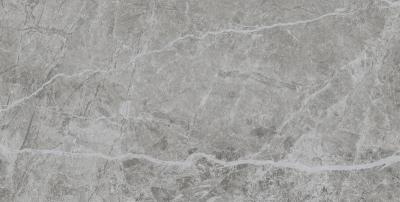 Stone Grey 60x120