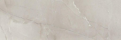 Керамогранит Passion Grey 30x90