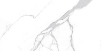 Statuario Classici 60x120