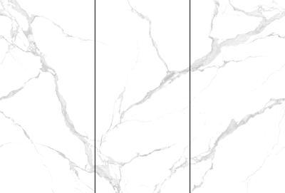 Bianco Carrara 120x240